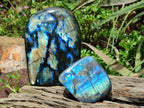 Polished Labradorite Standing Free Forms x 2 From Tulear, Madagascar