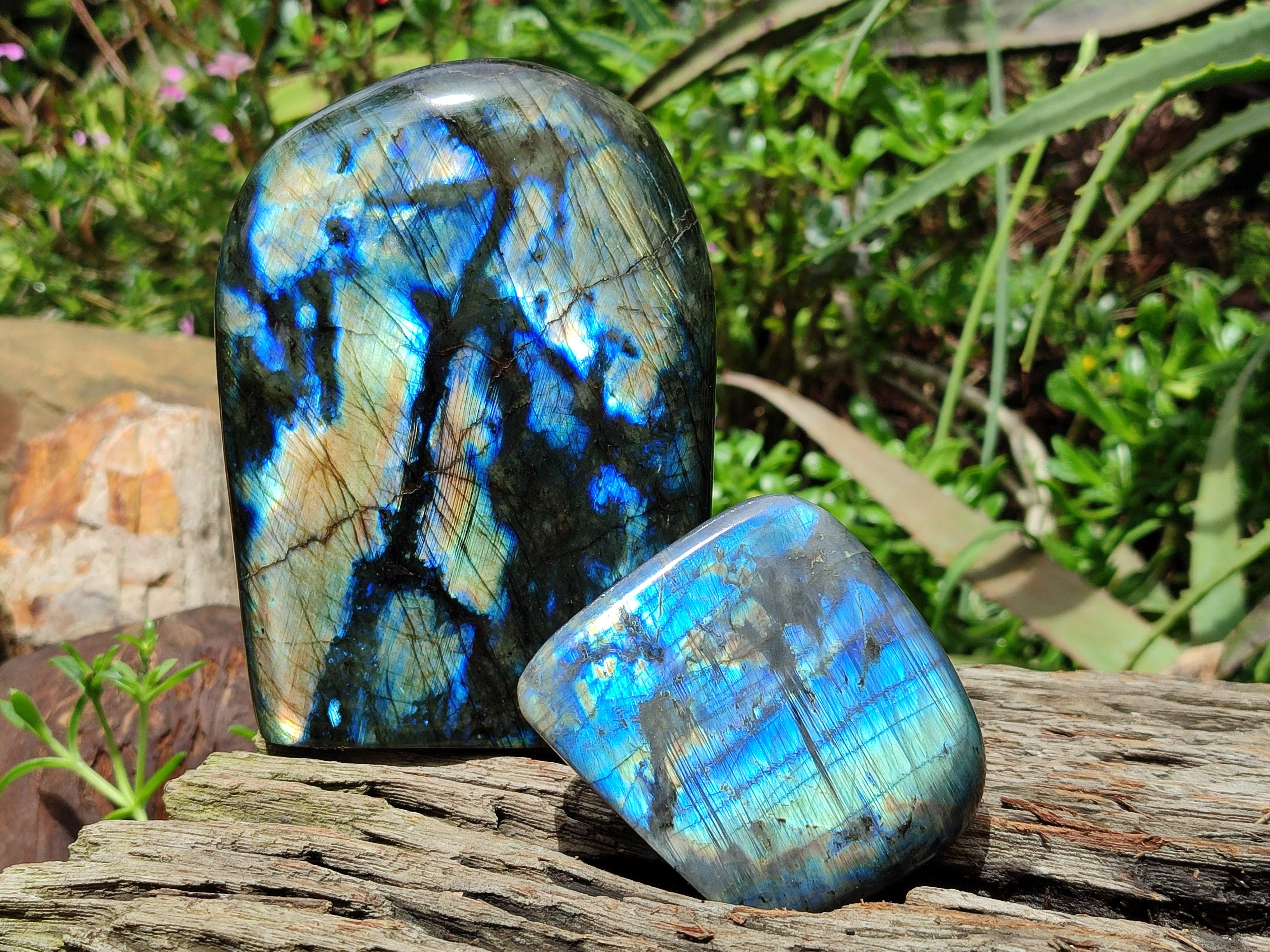 Polished Labradorite Standing Free Forms x 2 From Tulear, Madagascar