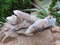 Natural Drusy Quartz Coated Spearhead Calcite Specimens x 35 From Albert's Mountain, Lesotho