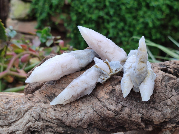 Natural Drusy Quartz Coated Spearhead Calcite Specimens x 35 From Albert's Mountain, Lesotho