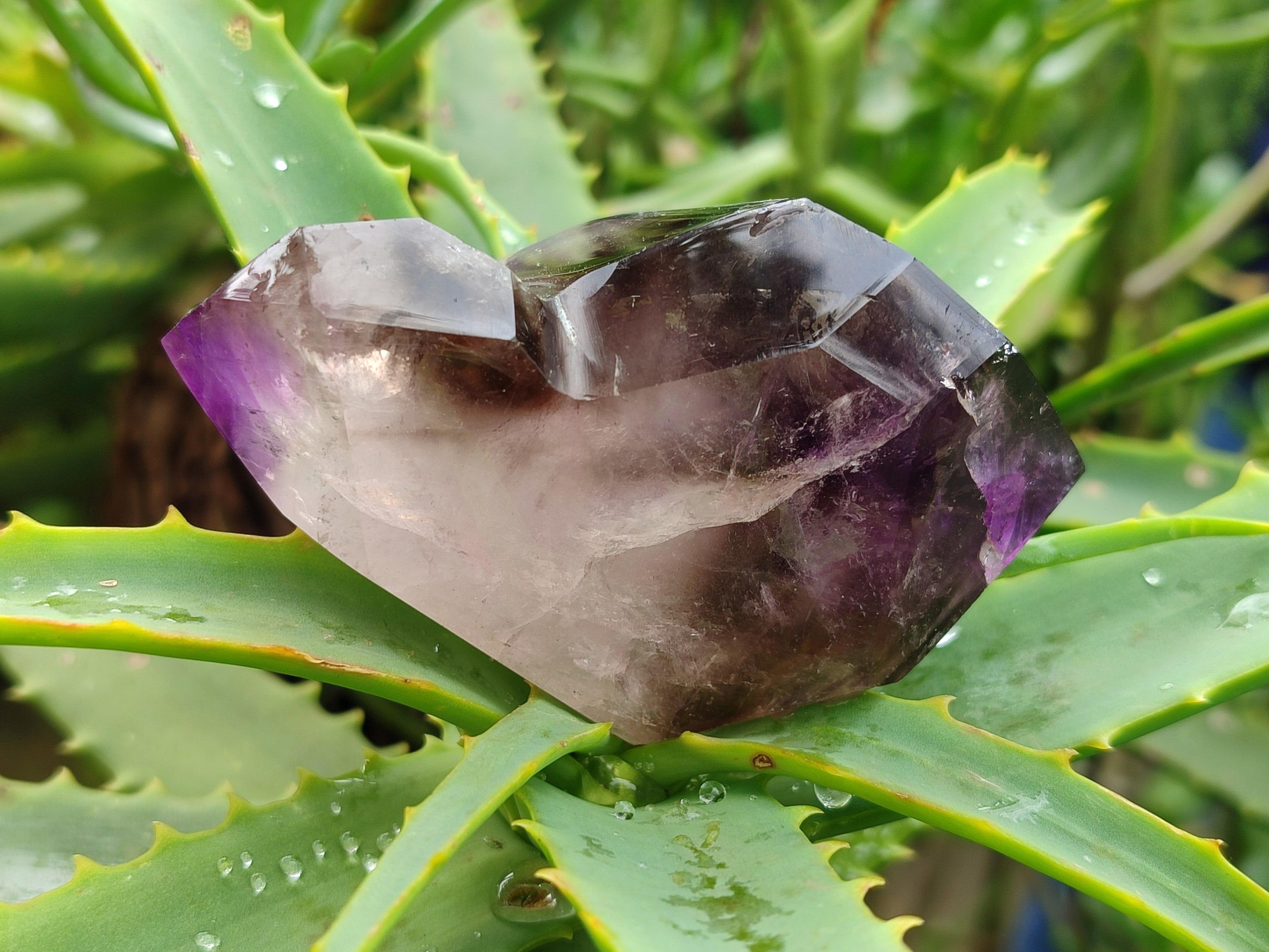 Polished Window Smokey Amethyst Crystals x 6 From Akansobe, Madagascar
