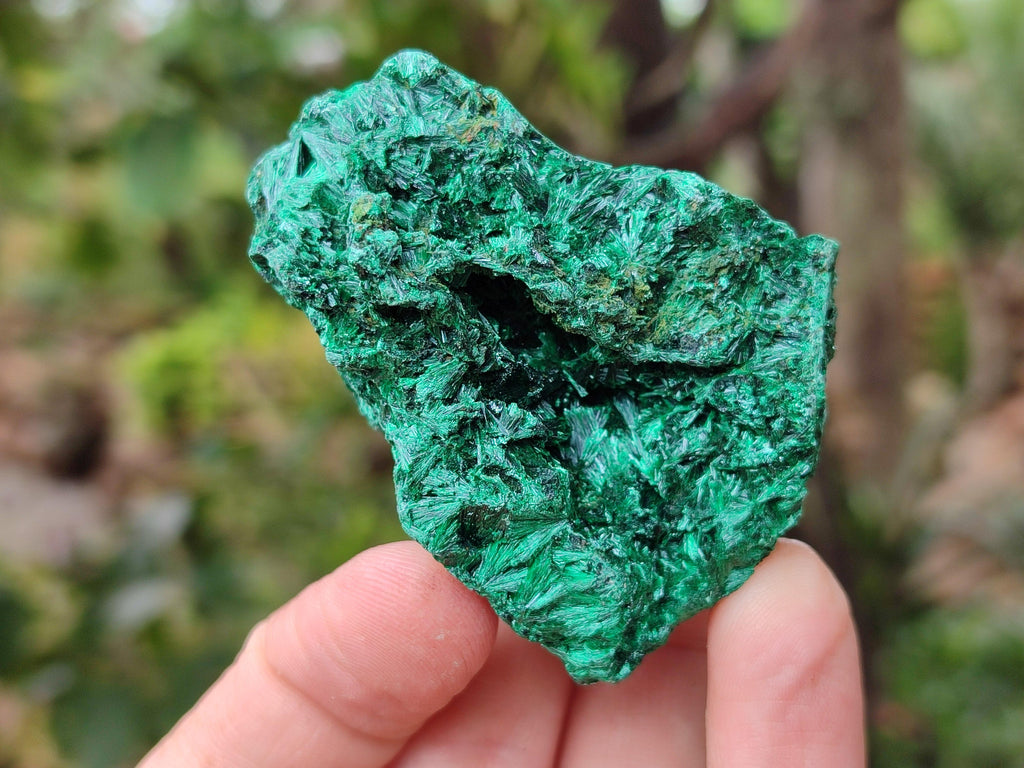 Natural Silky Malachite Specimens x 12 From Kasompe, Congo