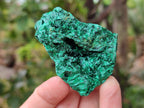 Natural Silky Malachite Specimens x 12 From Kasompe, Congo