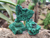 Natural Silky Malachite Specimens x 12 From Kasompe, Congo