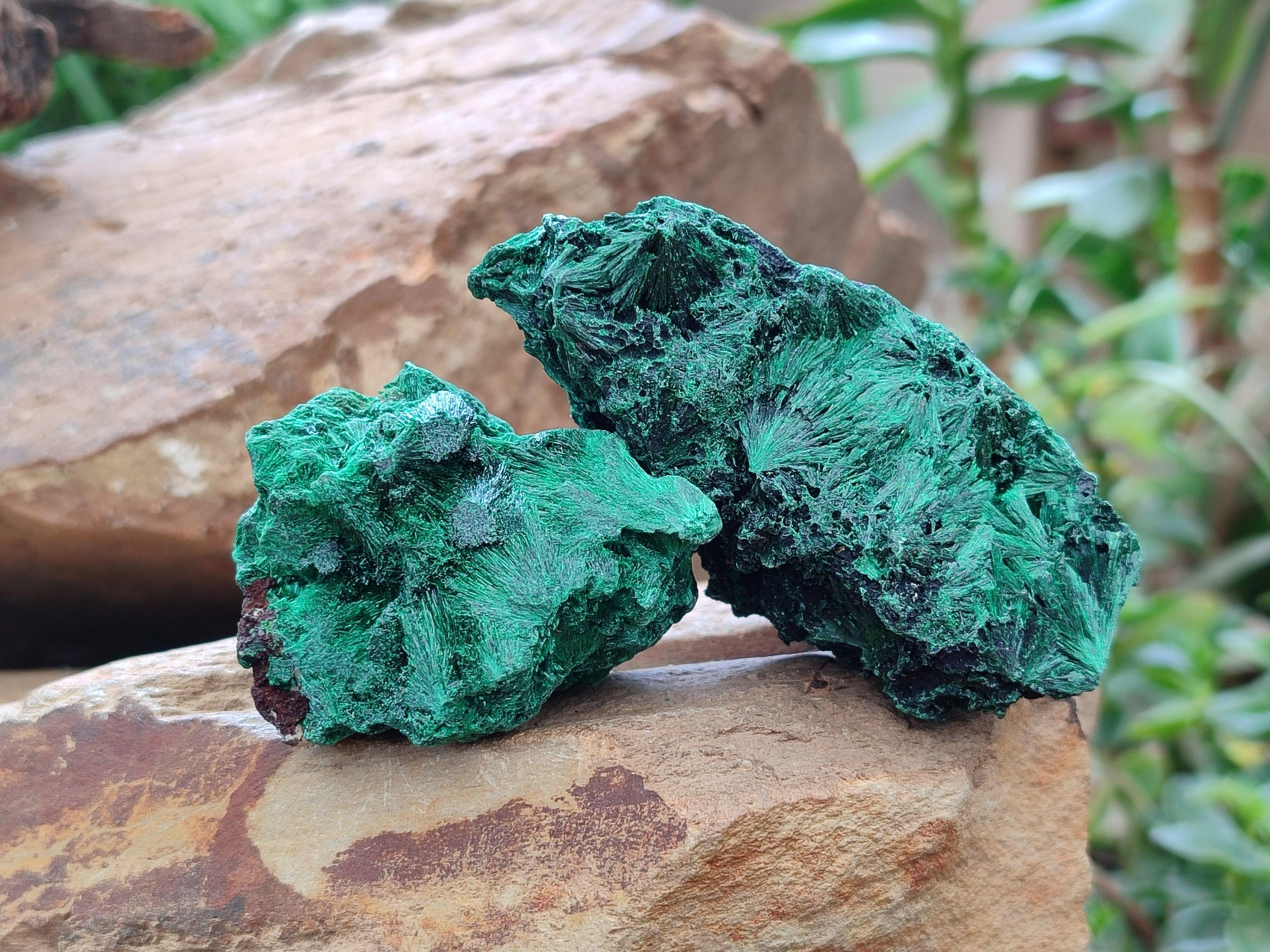Natural Silky Malachite Specimens x 12 From Kasompe, Congo