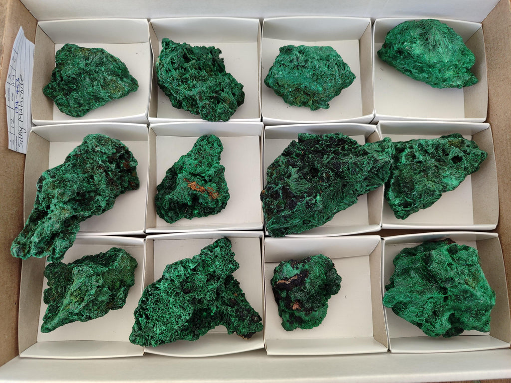 Natural Silky Malachite Specimens x 12 From Kasompe, Congo