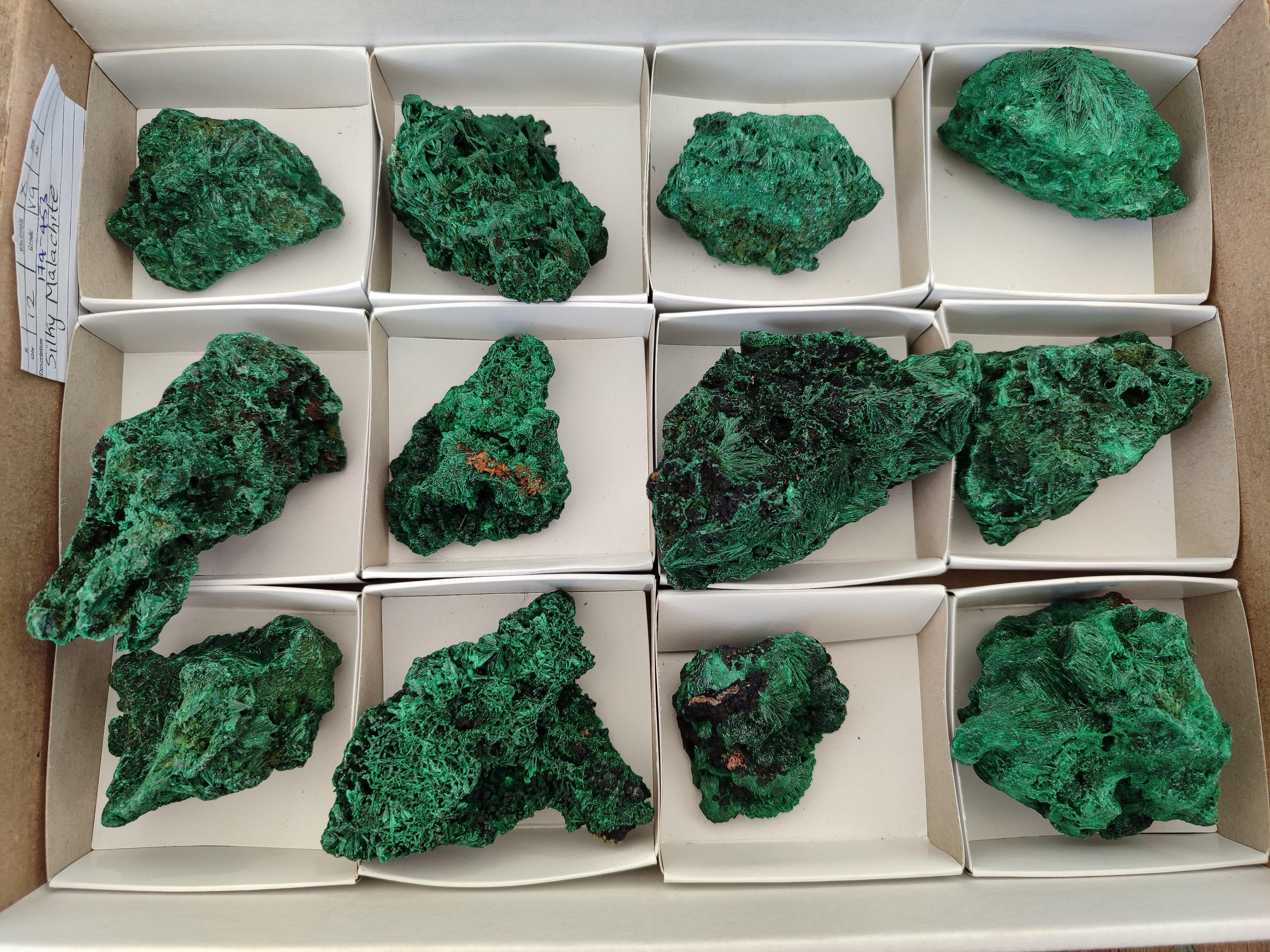 Natural Silky Malachite Specimens x 12 From Kasompe, Congo