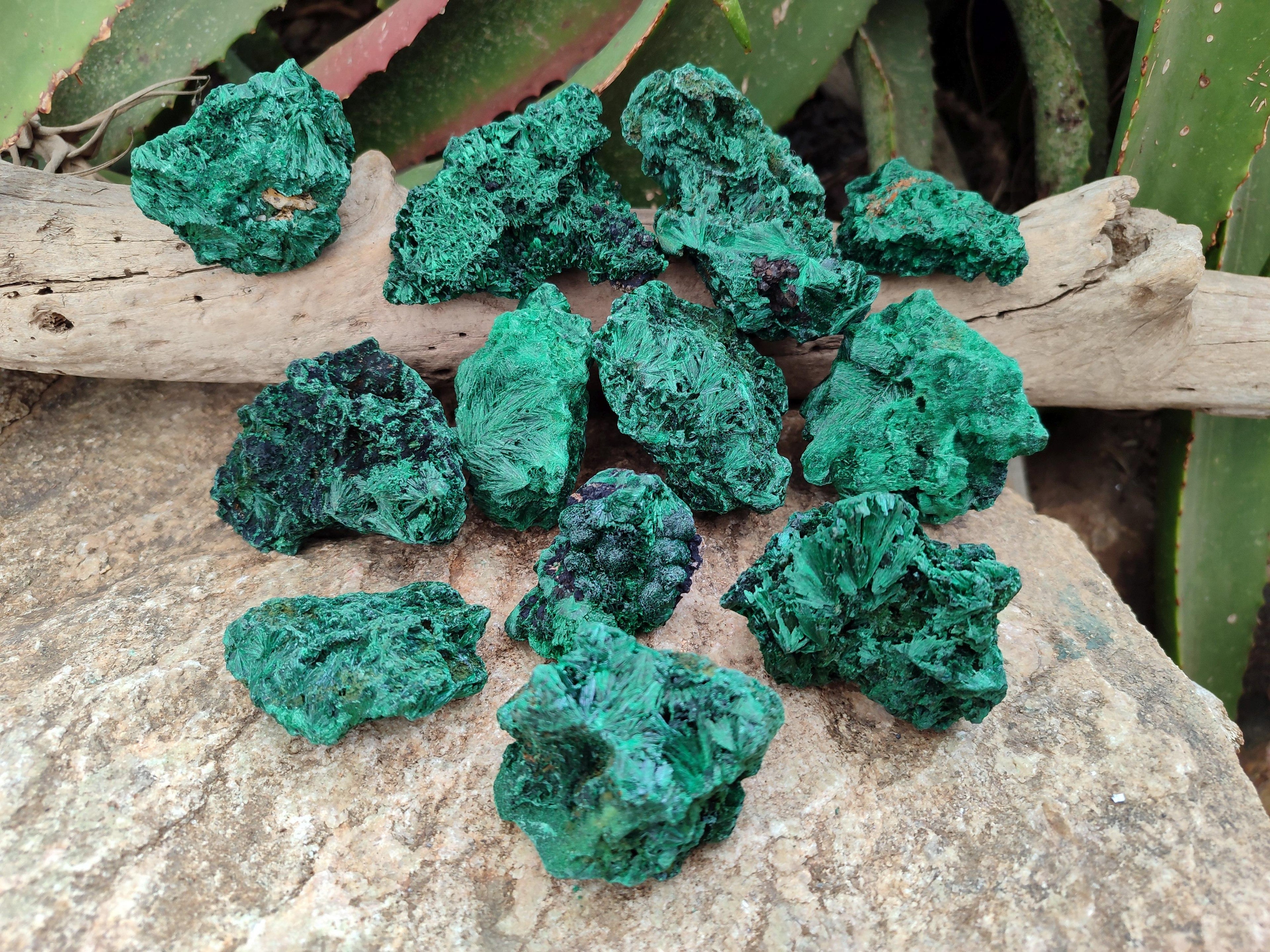 Natural Silky Malachite Specimens x 12 From Kasompe, Congo
