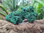 Natural Silky Malachite Specimens x 12 From Kasompe, Congo