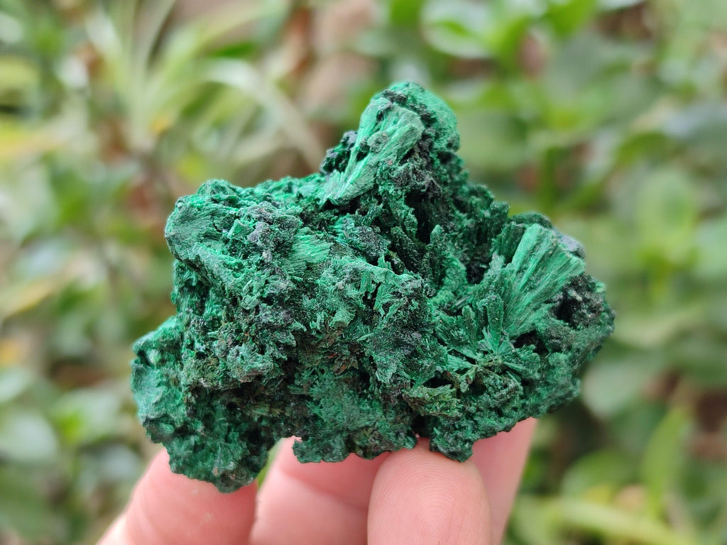 Natural Silky Malachite Specimens x 12 From Kasompe, Congo