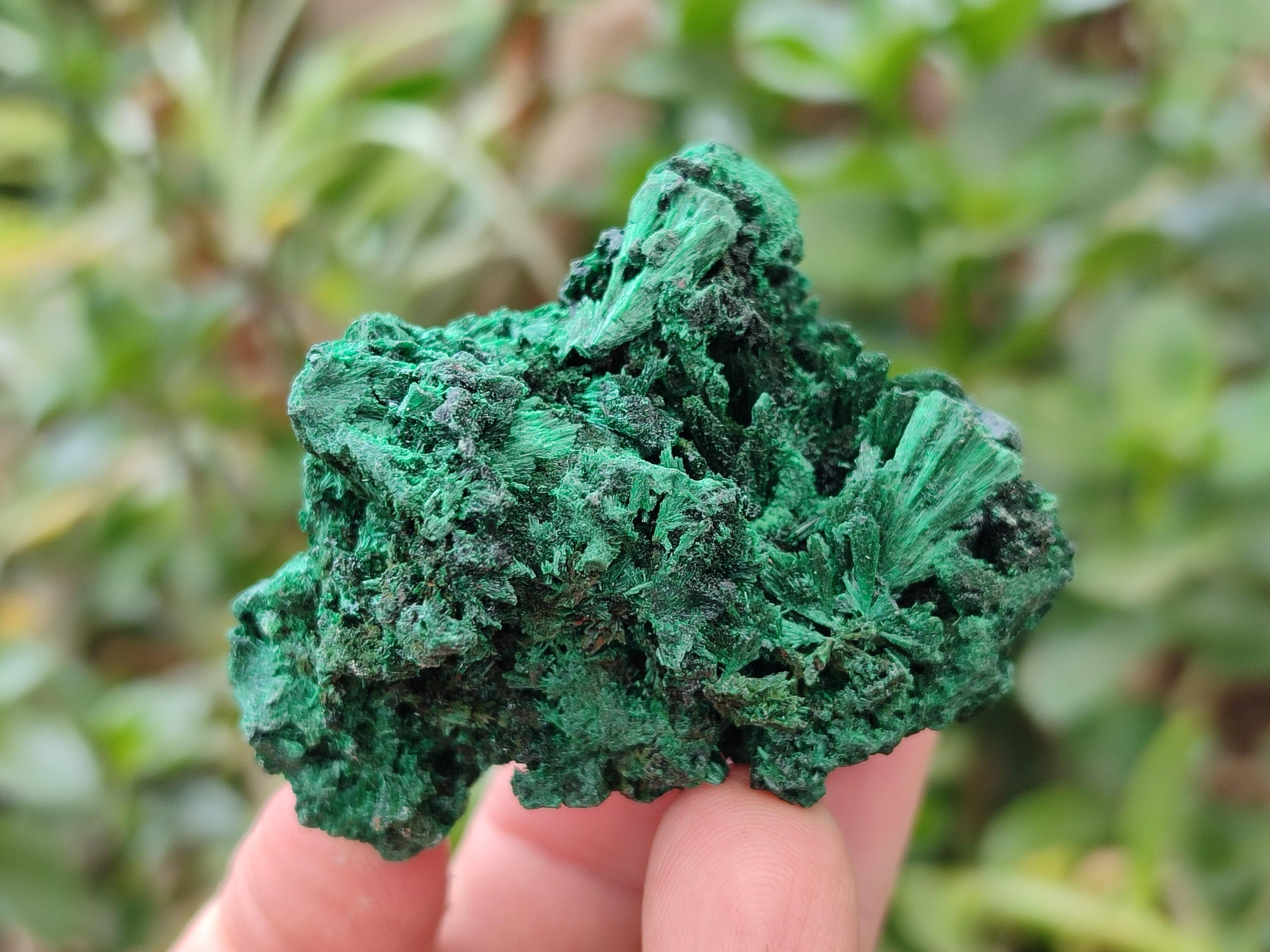 Natural Silky Malachite Specimens x 12 From Kasompe, Congo