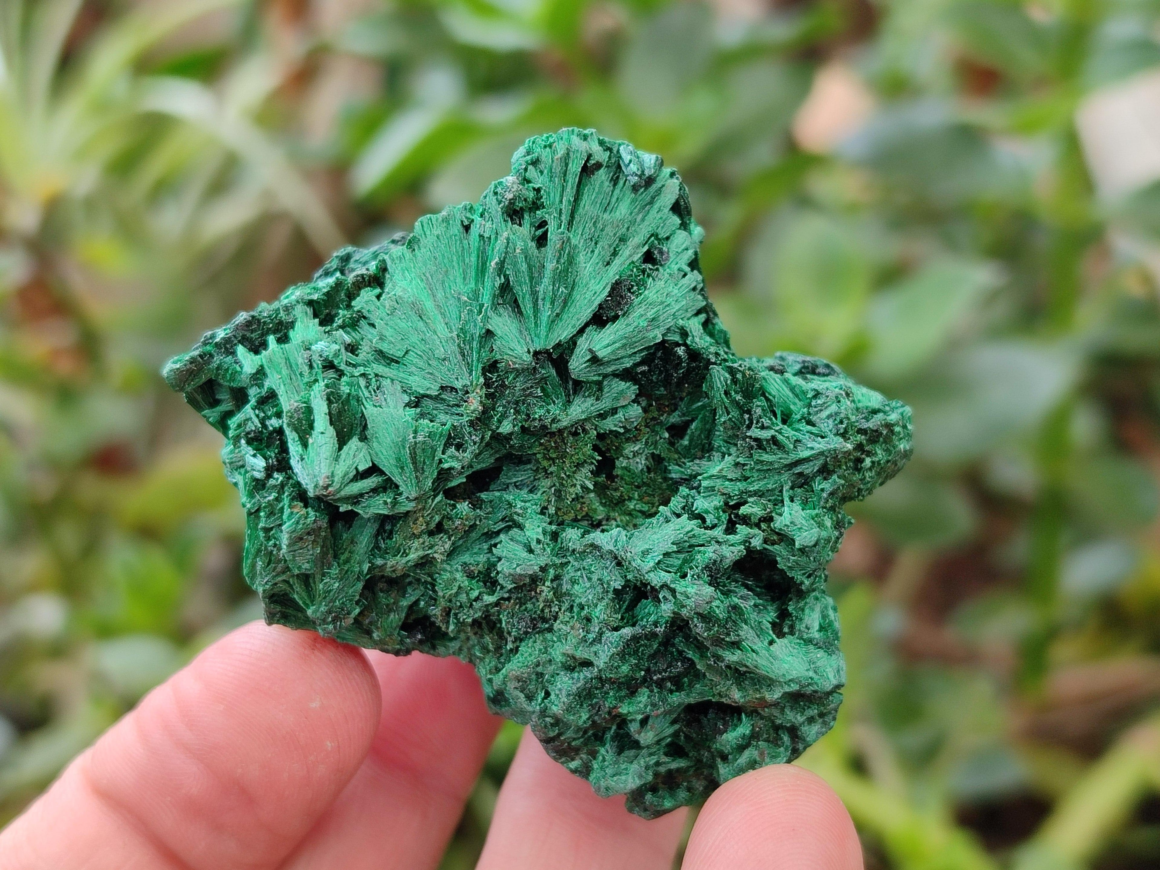 Natural Silky Malachite Specimens x 12 From Kasompe, Congo