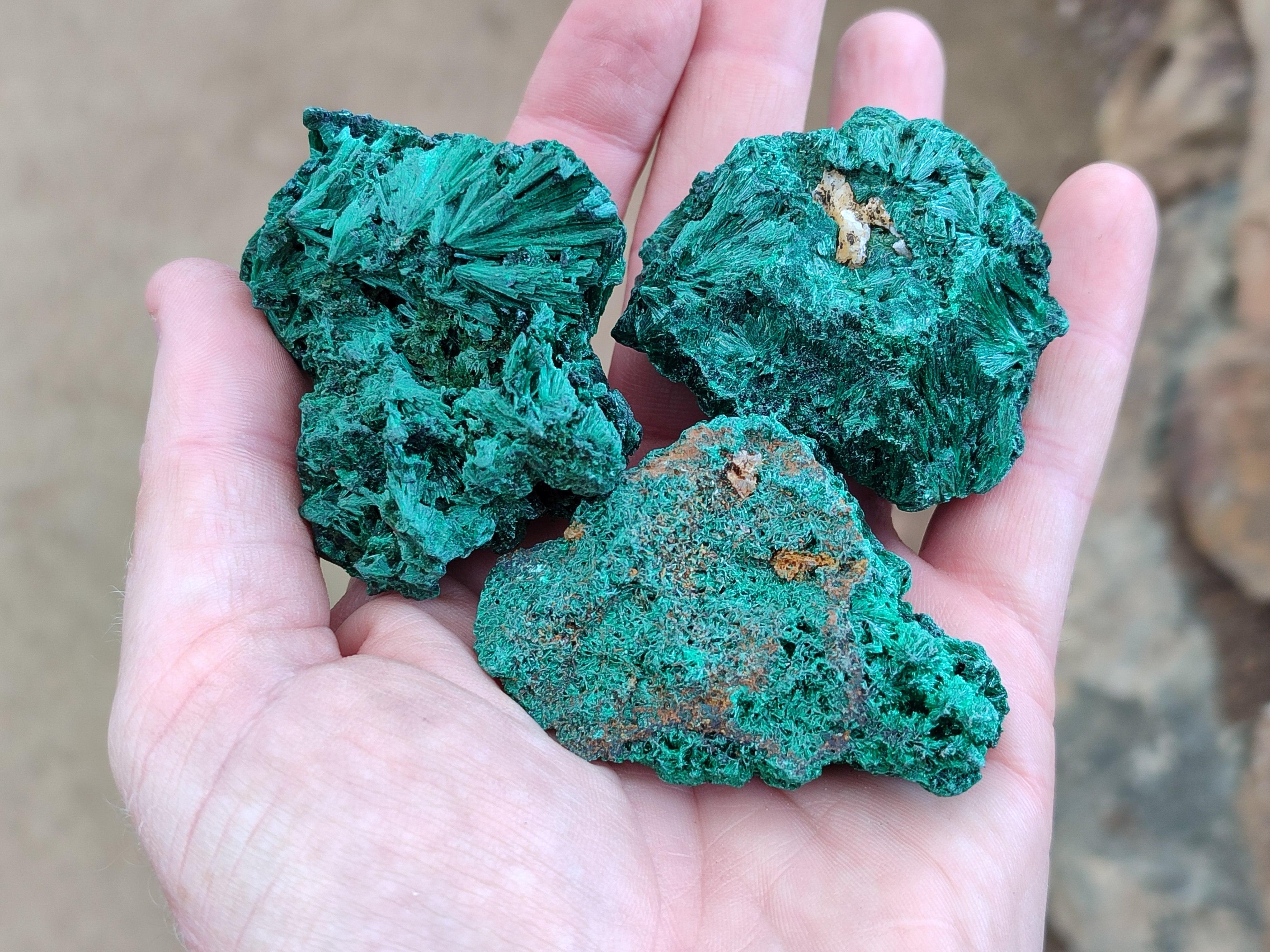 Natural Silky Malachite Specimens x 12 From Kasompe, Congo