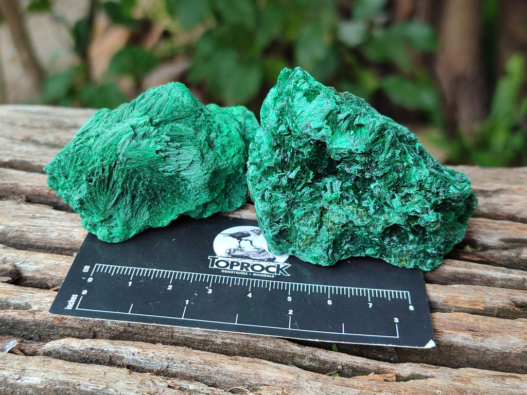 Natural Silky Malachite Specimens x 12 From Kasompe, Congo