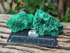 Natural Silky Malachite Specimens x 12 From Kasompe, Congo