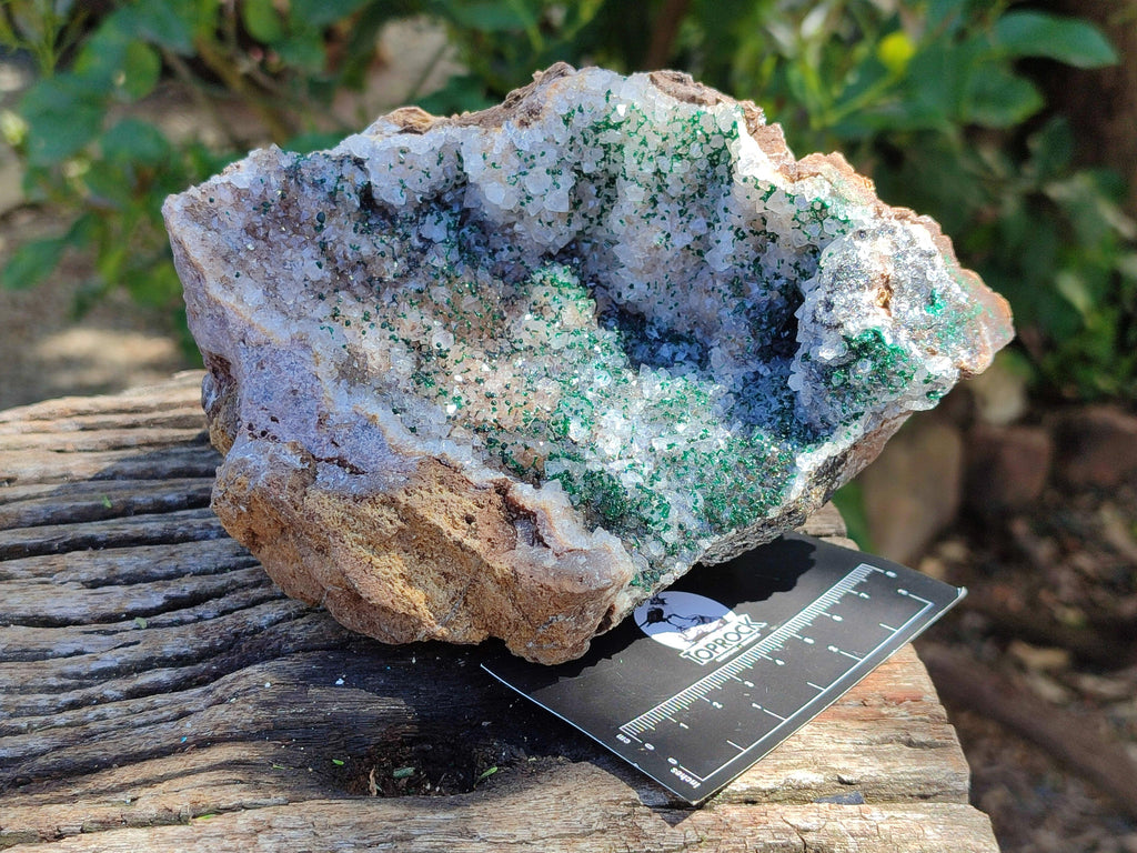 Natural Crystalline Silky Malachite and Quartz On Dolomite Matrix Specimen x 1 From Kambove, Congo