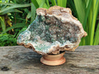 Natural Crystalline Silky Malachite and Quartz On Dolomite Matrix Specimen x 1 From Kambove, Congo