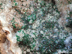 Natural Crystalline Silky Malachite and Quartz On Dolomite Matrix Specimen x 1 From Kambove, Congo