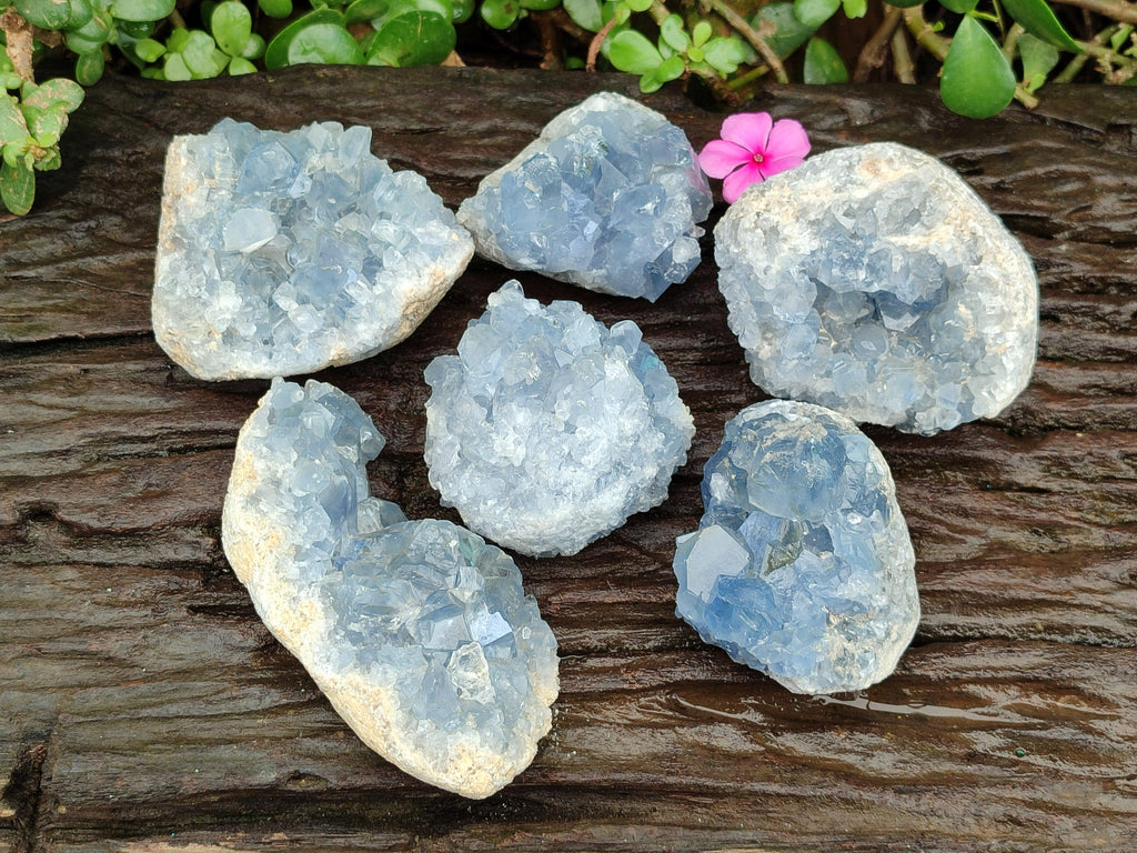 Natural Blue Celestite Specimens x 6 From Sakoany, Madagascar