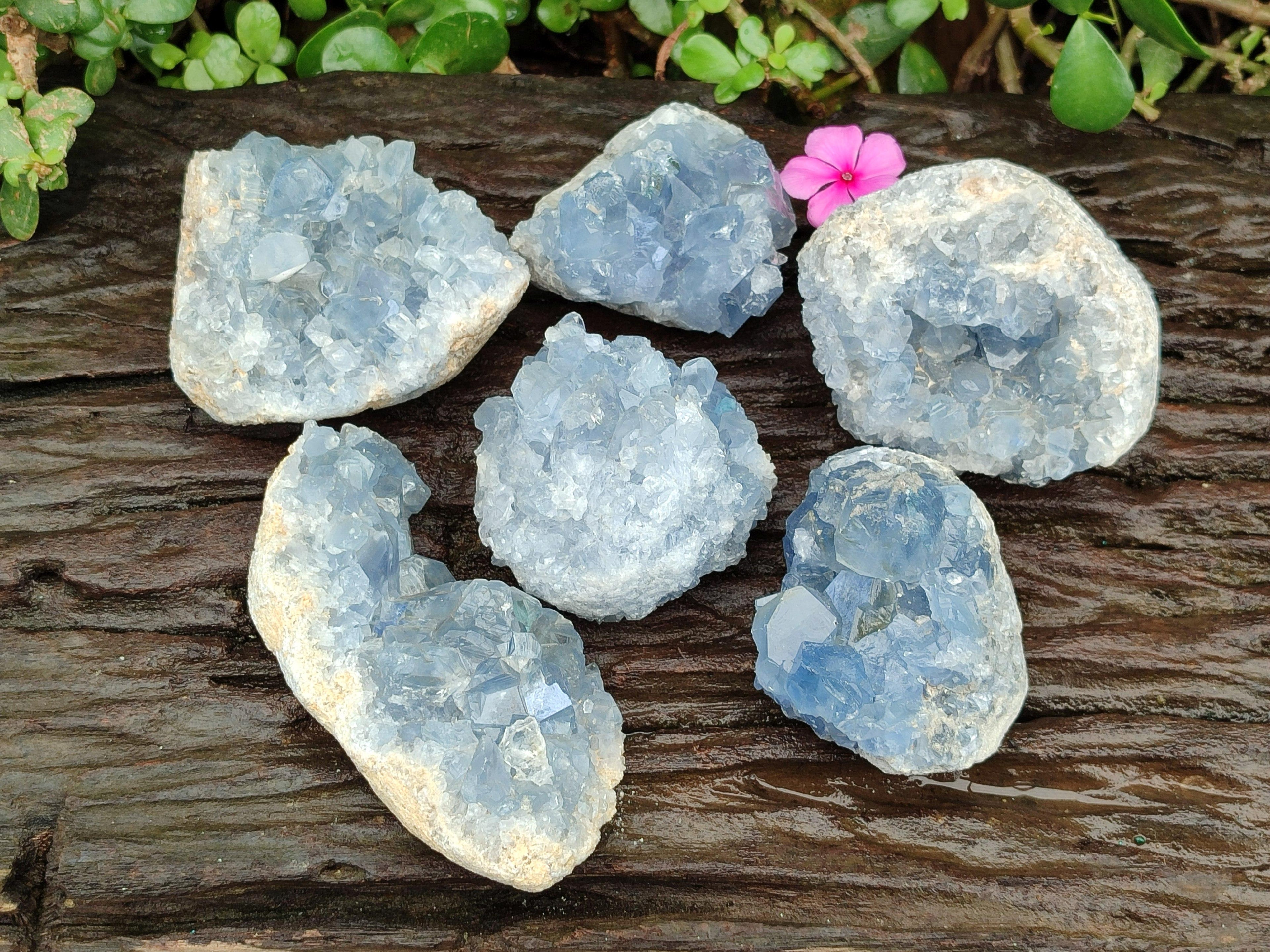Natural Blue Celestite Specimens x 6 From Sakoany, Madagascar