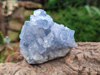 Natural Blue Celestite Specimens x 6 From Sakoany, Madagascar