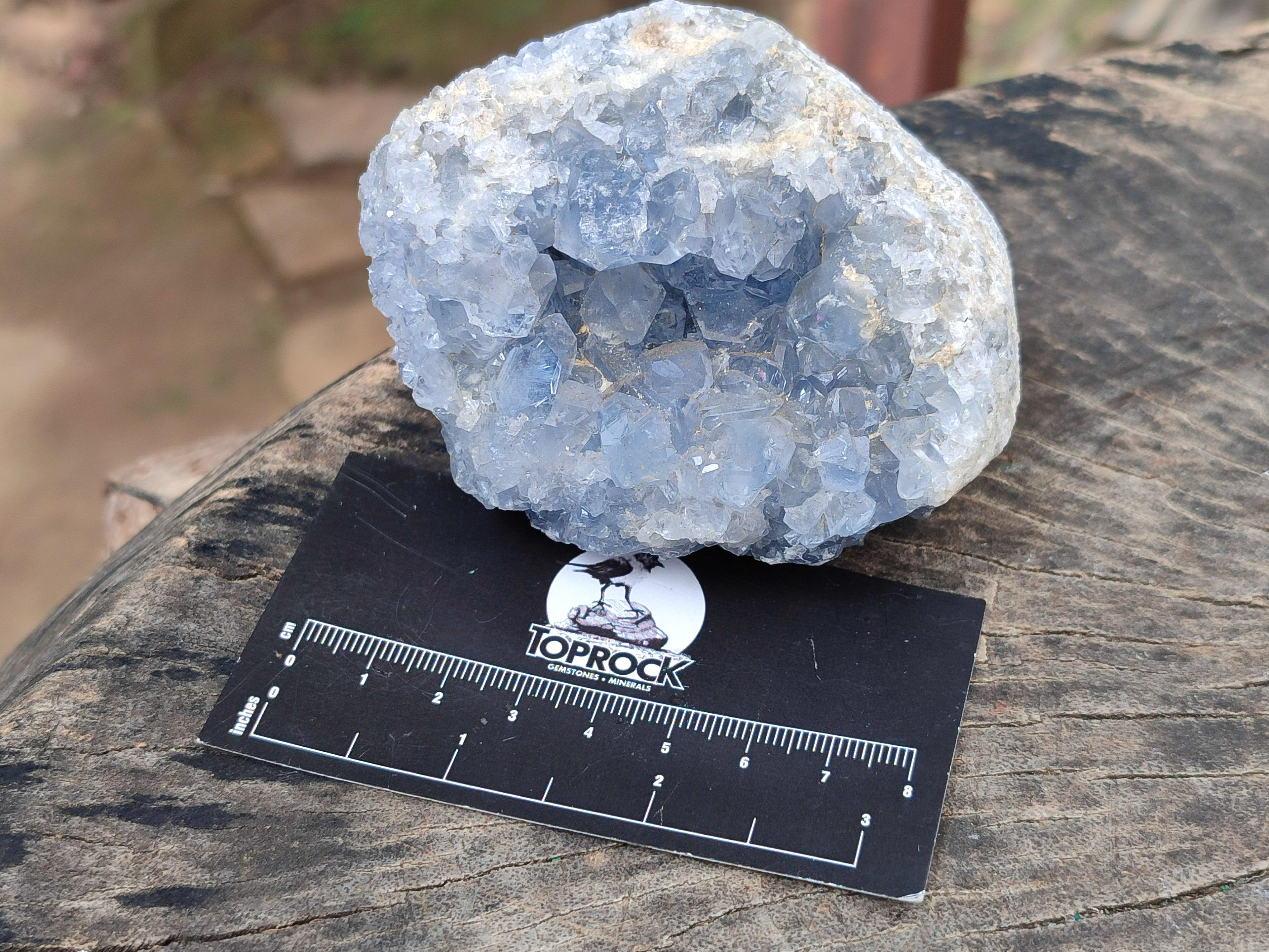 Natural Blue Celestite Specimens x 6 From Sakoany, Madagascar