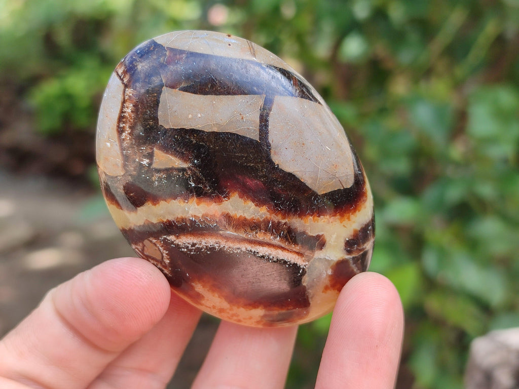 Polished Septerye Galets x 12 From Mahajanga, Madagascar