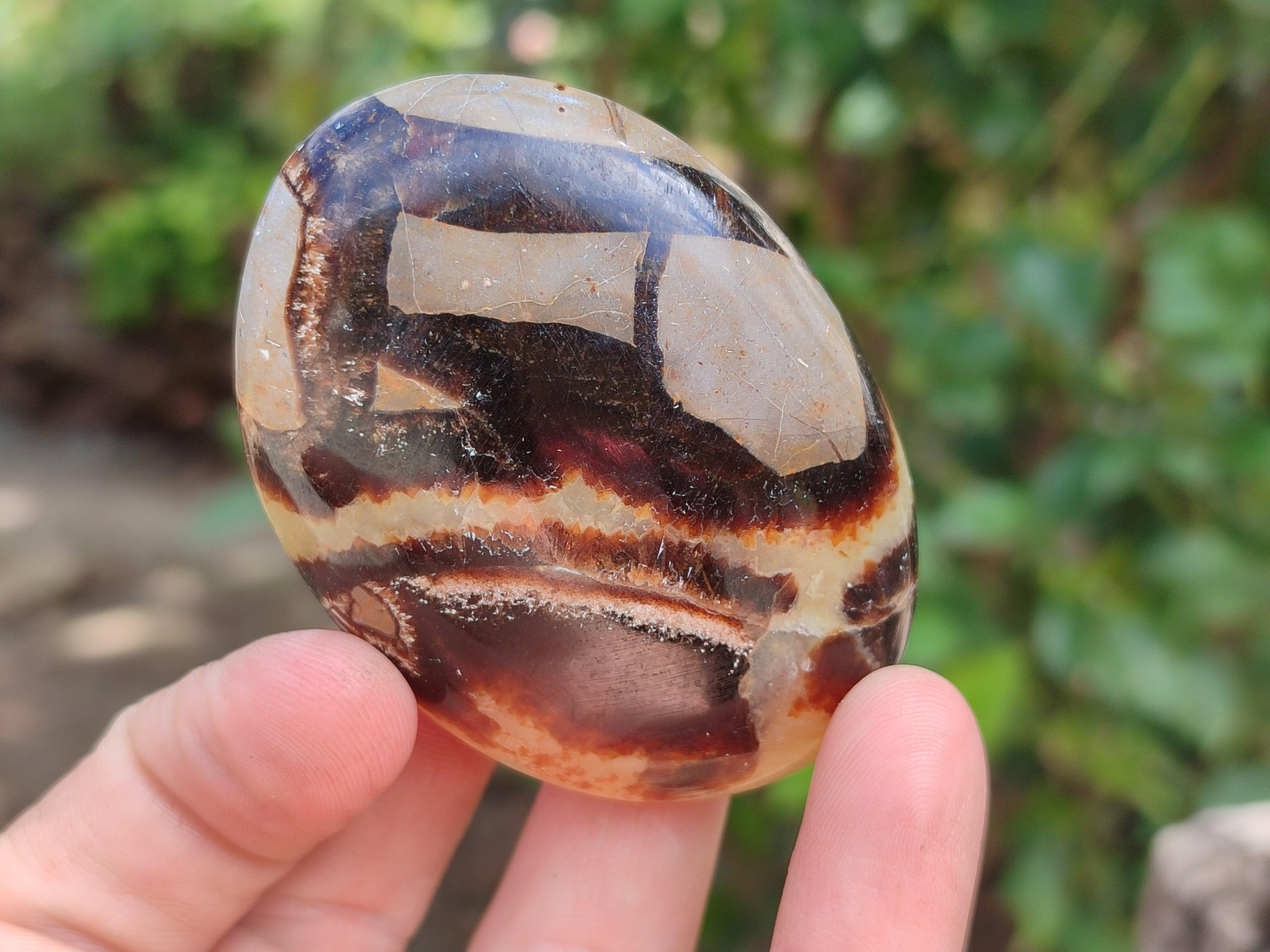 Polished Septerye Galets x 12 From Mahajanga, Madagascar