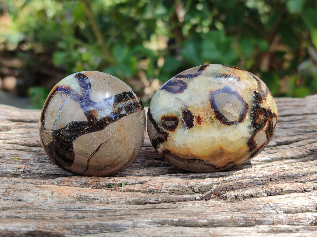 Polished Septerye Galets x 12 From Mahajanga, Madagascar