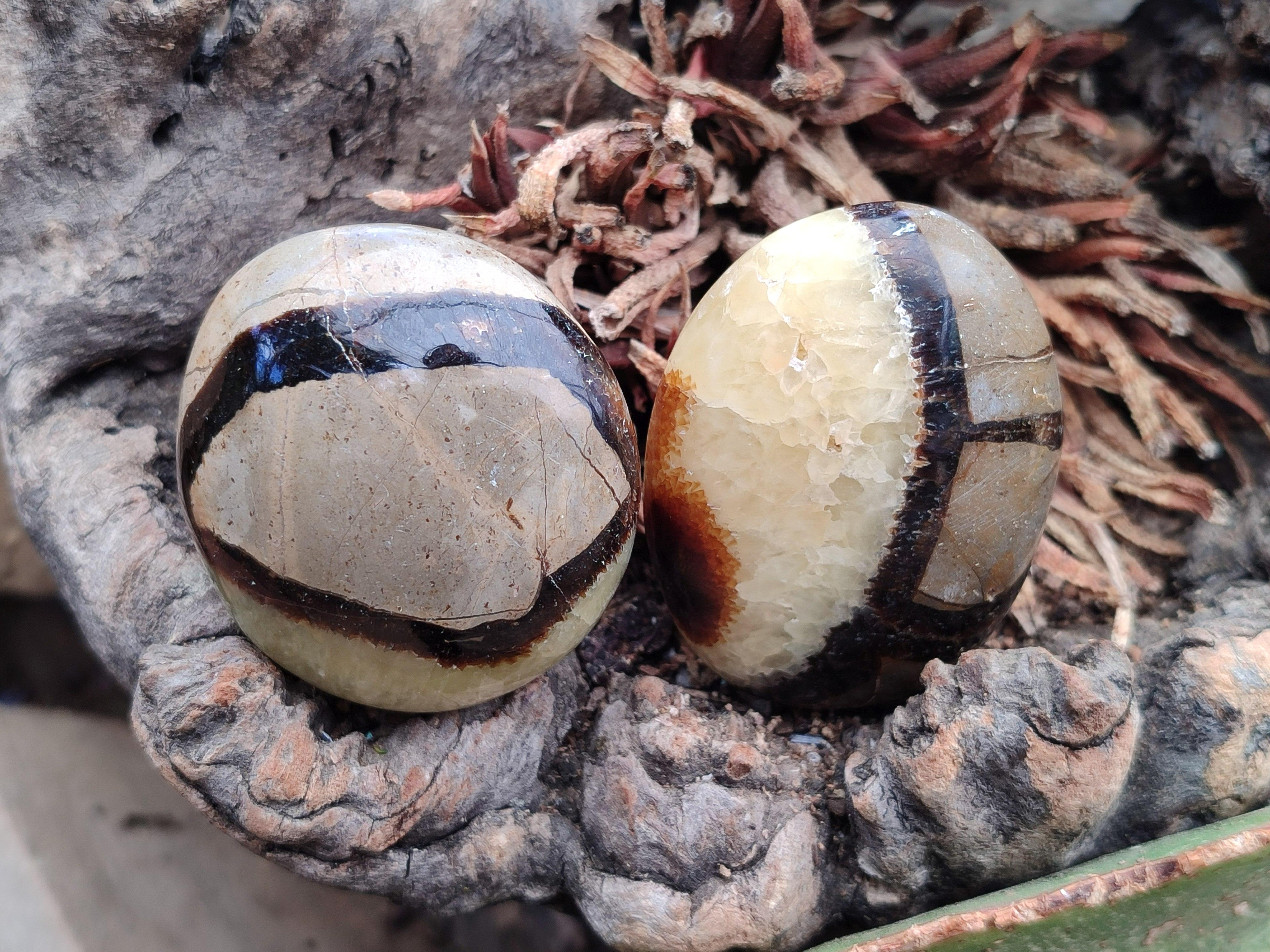 Polished Septerye Galets x 12 From Mahajanga, Madagascar