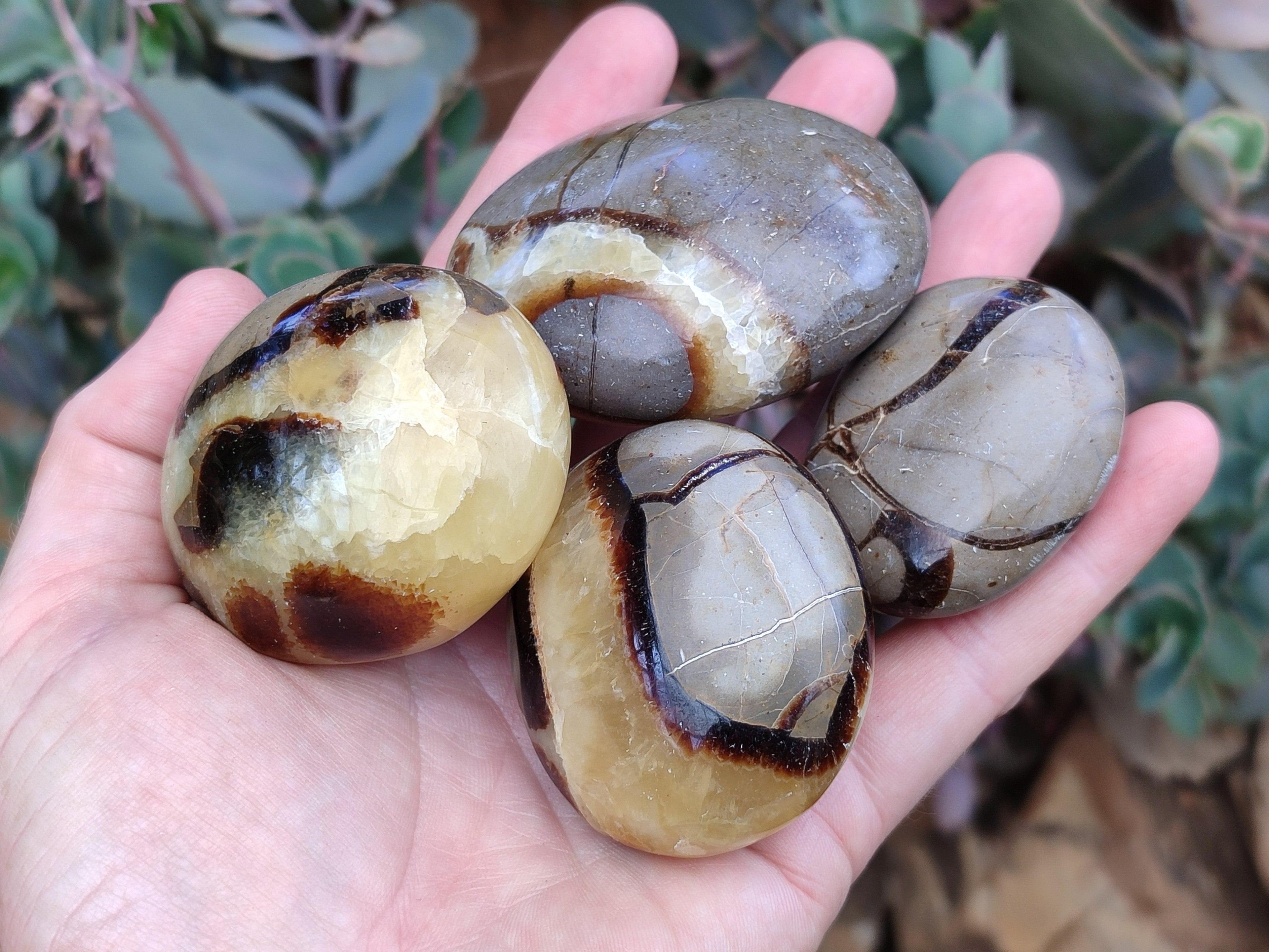 Polished Septerye Galets x 12 From Mahajanga, Madagascar