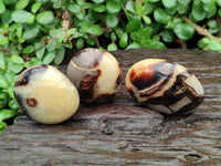 Polished Septerye Galets x 12 From Mahajanga, Madagascar