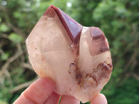 Polished Red Hematoid Quartz Clusters x 3 From Karoi, Zimbabwe