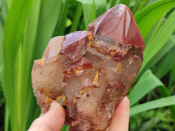 Polished Red Hematoid Quartz Clusters x 3 From Karoi, Zimbabwe