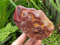 Polished Red Hematoid Quartz Clusters x 3 From Karoi, Zimbabwe