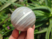 Polished Shashe River Banded Agate Spheres x 6 From Zimbabwe