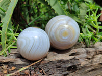 Polished Shashe River Banded Agate Spheres x 6 From Zimbabwe