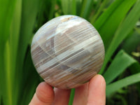 Polished Shashe River Banded Agate Spheres x 6 From Zimbabwe
