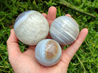 Polished Shashe River Banded Agate Spheres x 6 From Zimbabwe