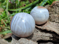 Polished Shashe River Banded Agate Spheres x 6 From Zimbabwe