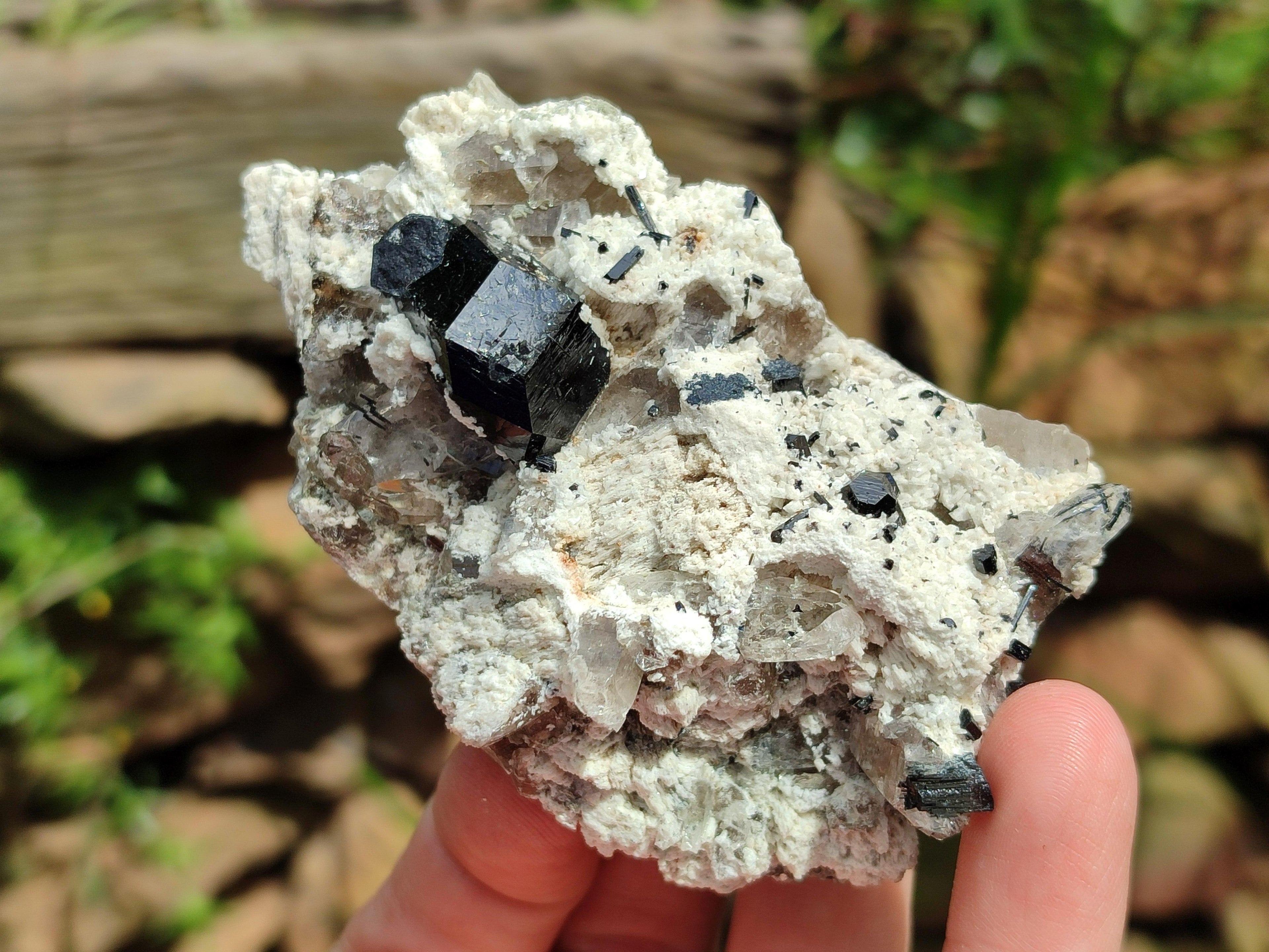 Natural Schorl Black Tourmaline with Associated Minerals x 6 From Erongo, Namibia