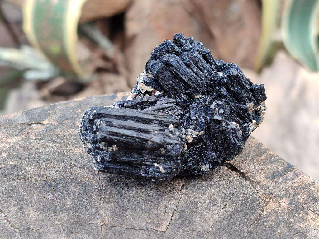 Natural Schorl Black Tourmaline with Associated Minerals x 6 From Erongo, Namibia