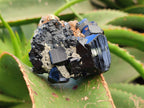 Natural Schorl Black Tourmaline with Associated Minerals x 6 From Erongo, Namibia