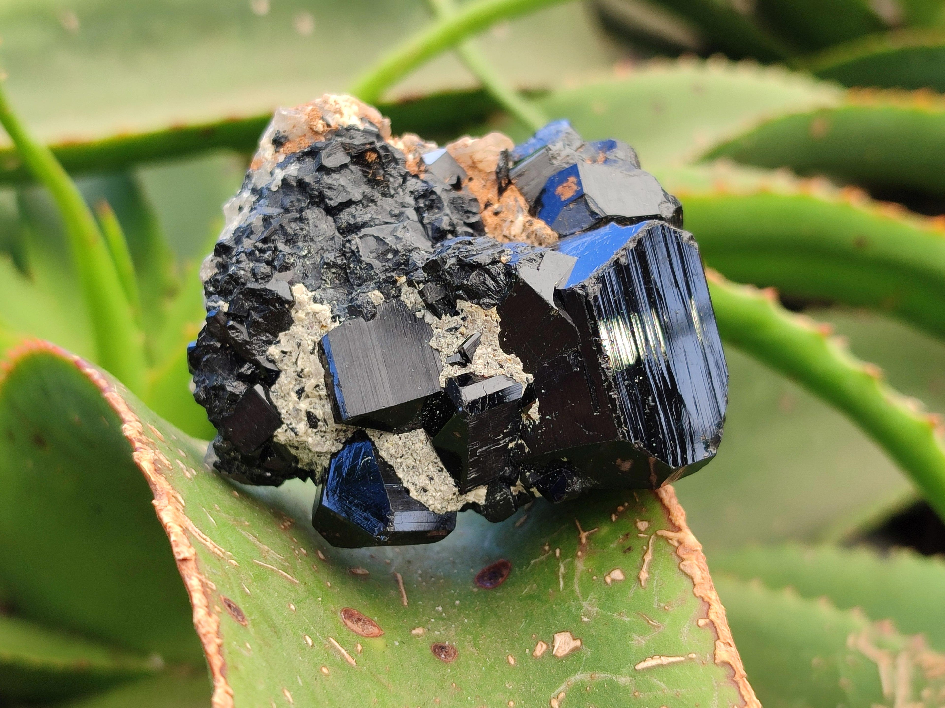 Natural Schorl Black Tourmaline with Associated Minerals x 6 From Erongo, Namibia