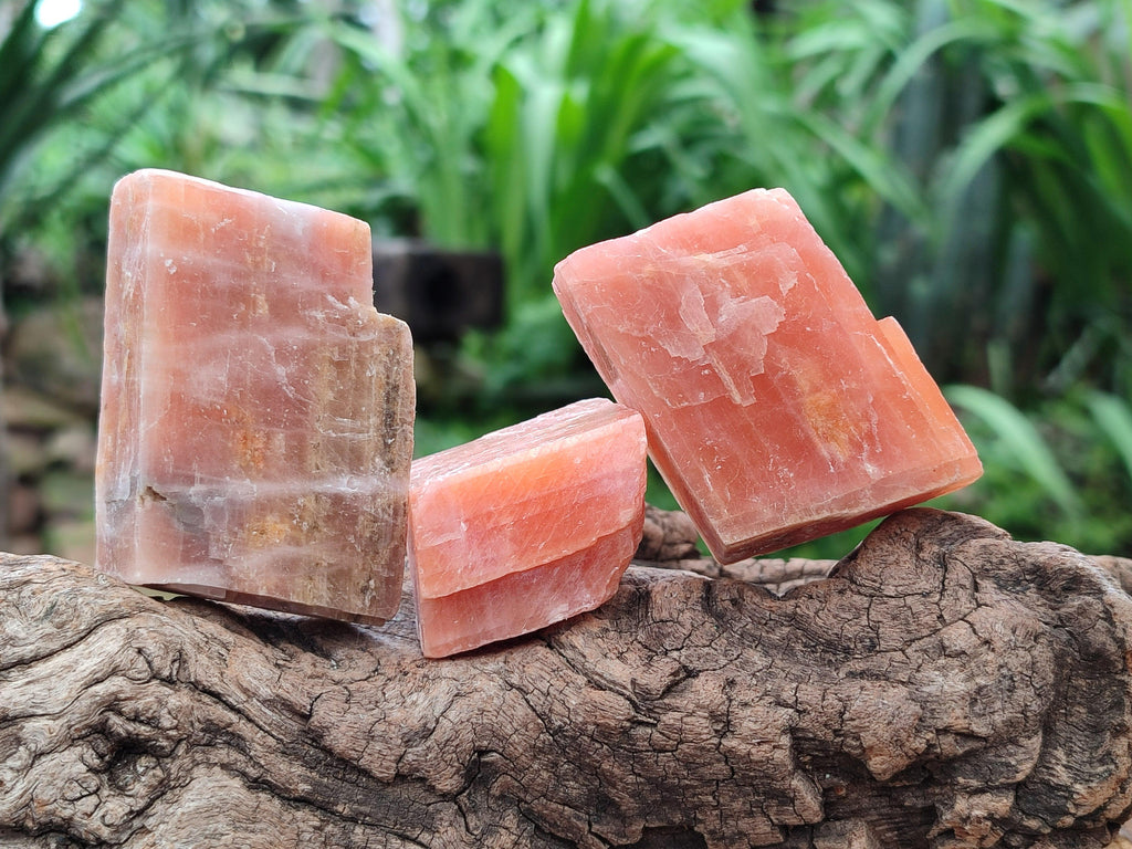 Natural Sunset Orange Calcite Specimens x 24 From Spitzkop, Namibia