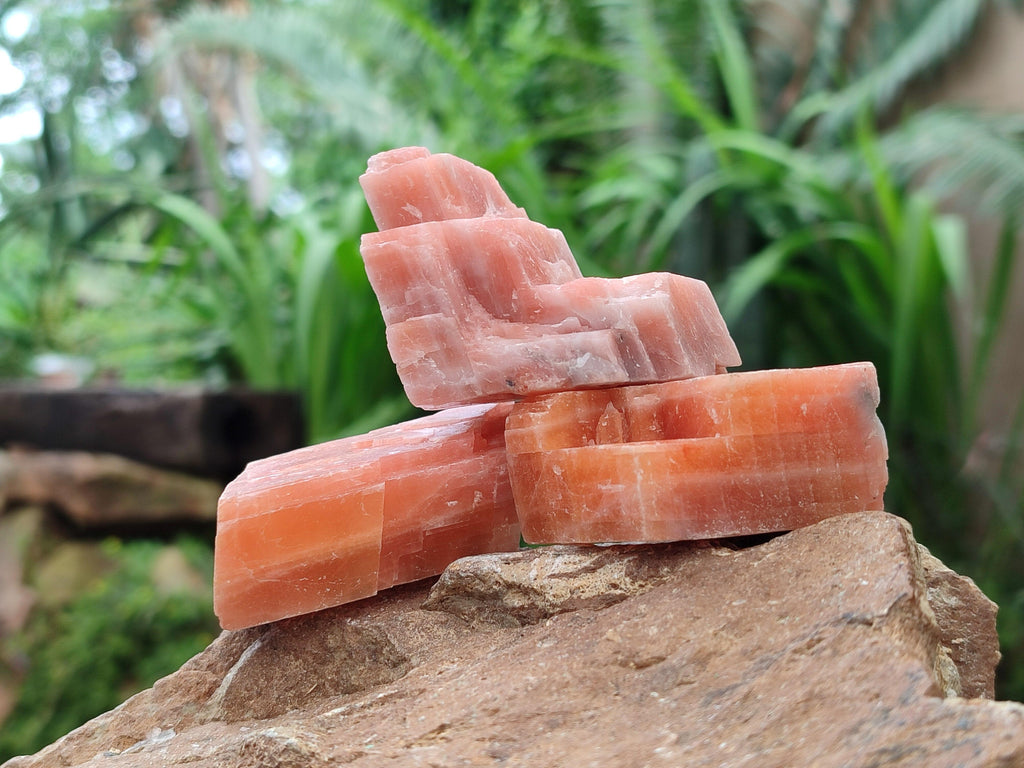 Natural Sunset Orange Calcite Specimens x 24 From Spitzkop, Namibia