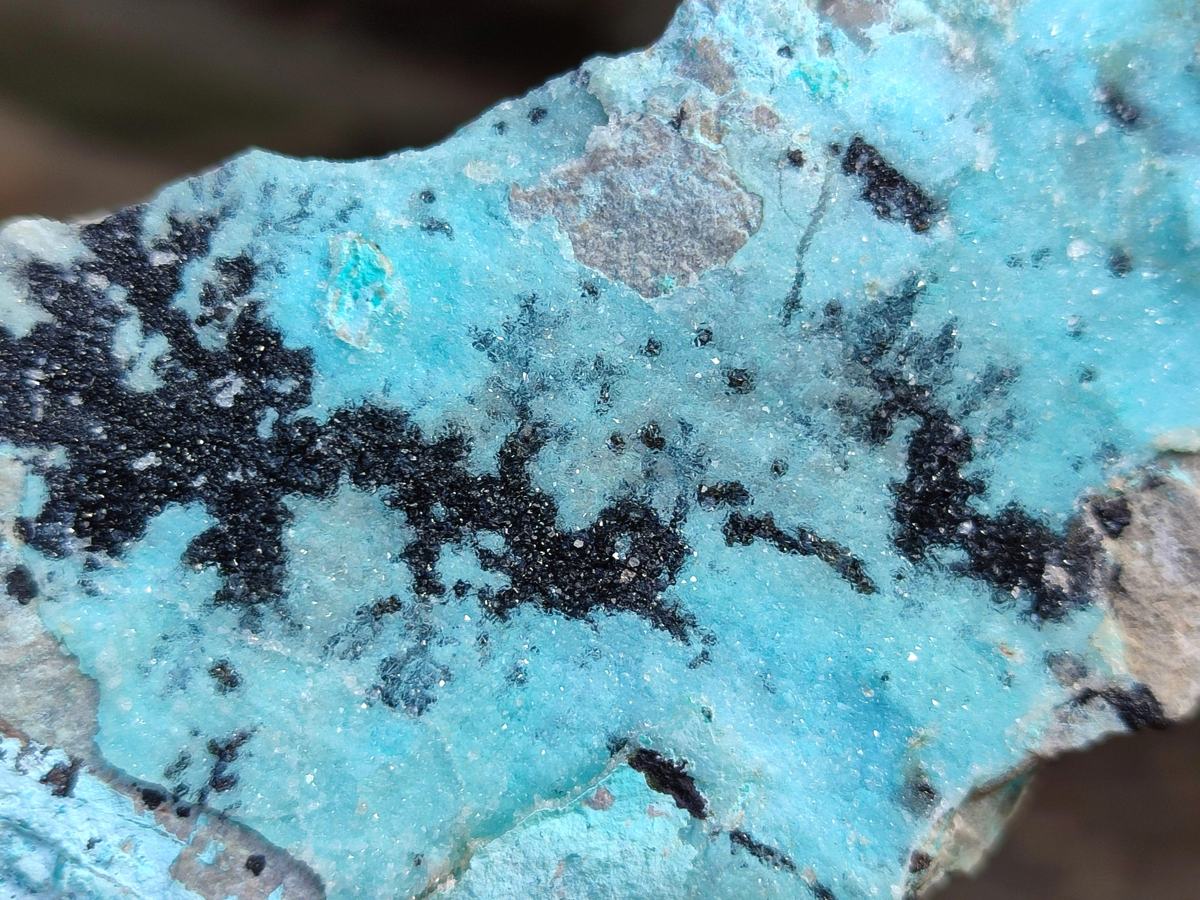 Natural Drusy Coated Chrysocolla On Dolomite With Malachite And Heterogenite Specimens x 6 From Lupoto Mine, Congo