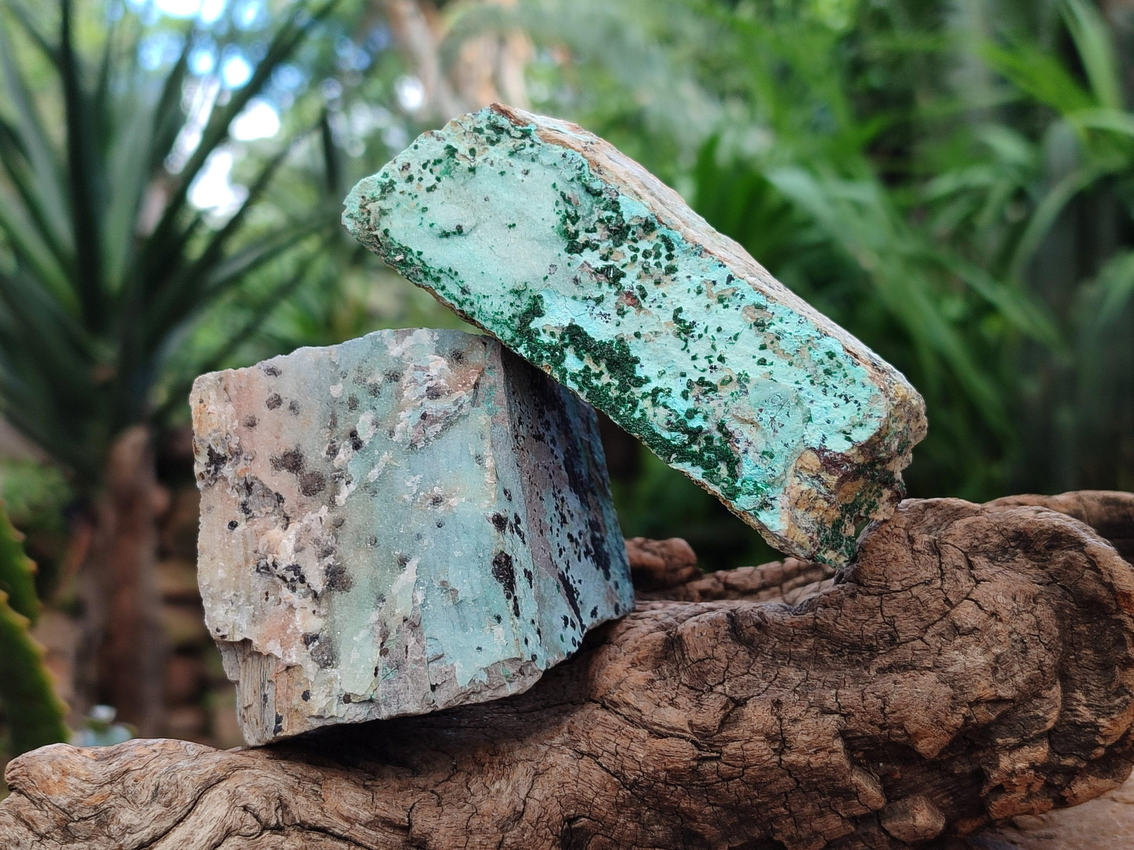 Natural Drusy Coated Chrysocolla On Dolomite With Malachite And Heterogenite Specimens x 6 From Lupoto Mine, Congo