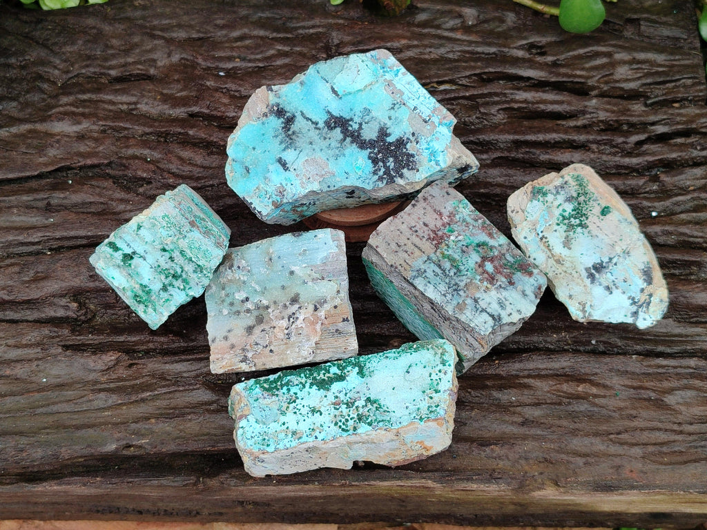 Natural Drusy Coated Chrysocolla On Dolomite With Malachite And Heterogenite Specimens x 6 From Lupoto Mine, Congo
