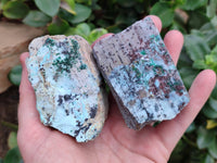 Natural Drusy Coated Chrysocolla On Dolomite With Malachite And Heterogenite Specimens x 6 From Lupoto Mine, Congo